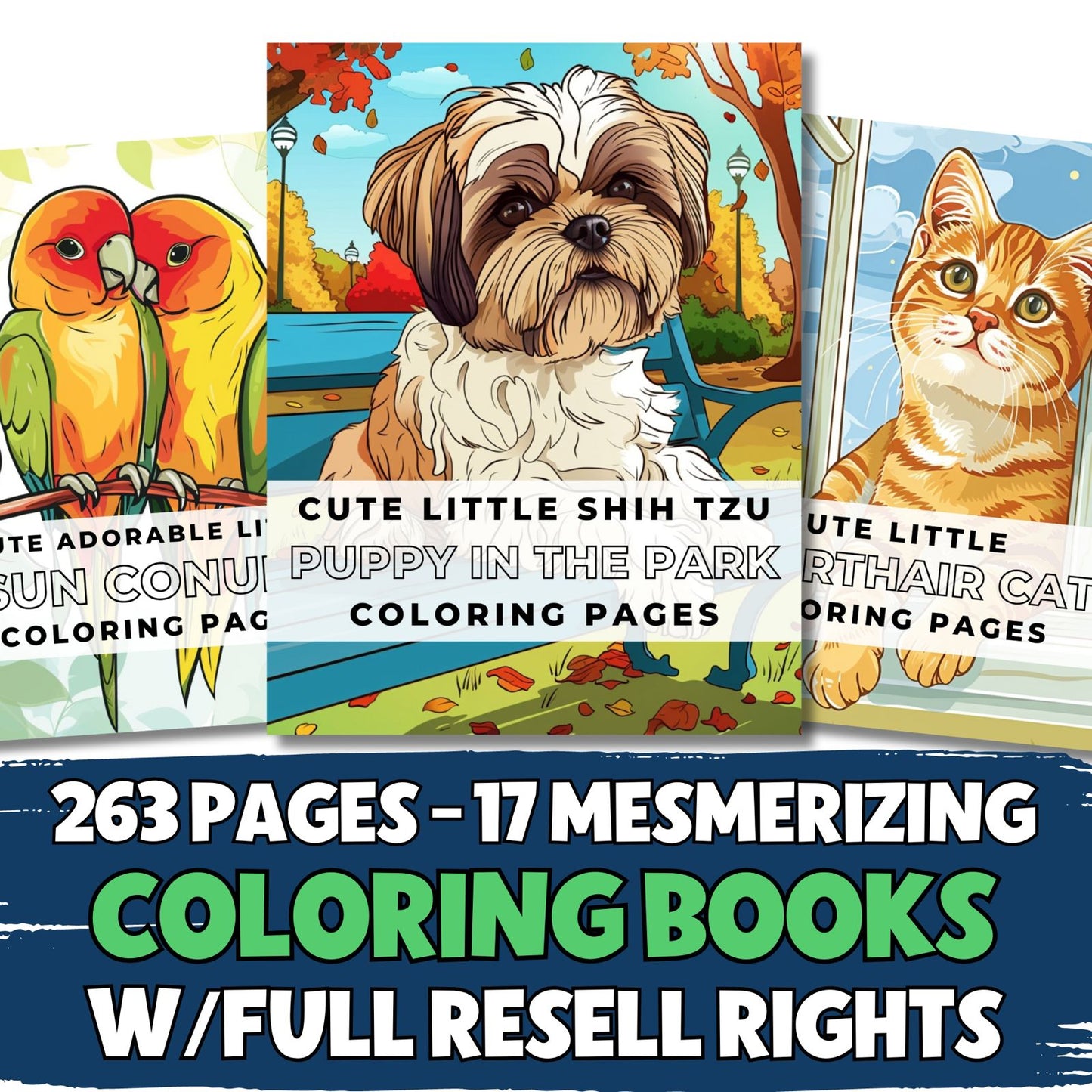 MRR 263 Pages, 17 Mesmerizing Coloring Books with Full Master Resell Rights