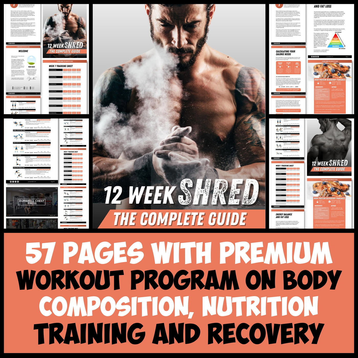 12 Week Shred Program - The Complete Guide – Digiluxxe